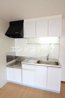 フラワープレイスのキッチン|高崎、前橋のお部屋探しはエンドスケープまで！お客様の理想お聞かせ下さい♪