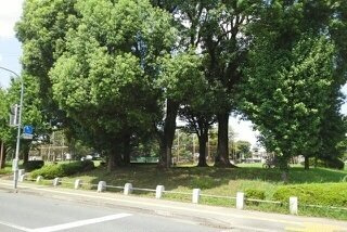 熊本市東区若葉６丁目のアパートの周辺|秋津中央公園まで1220m