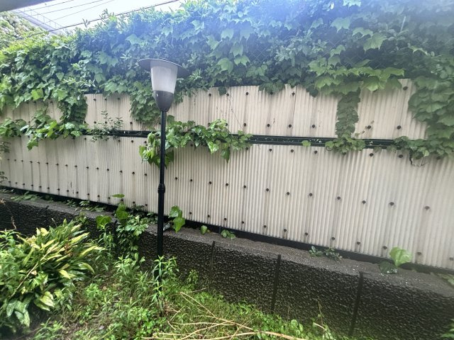 日生住吉コープの展望
