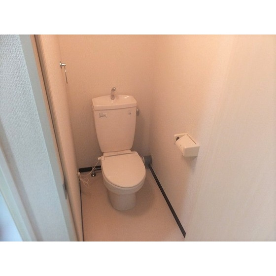 落ち着いた色調のトイレです