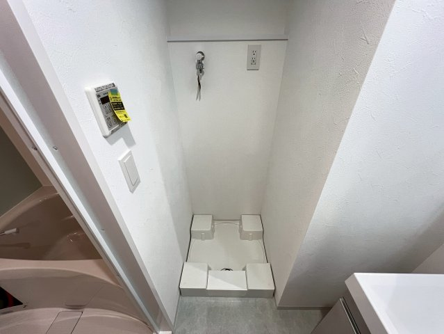 ミラージュパレス天王寺堀越町の洗面所
