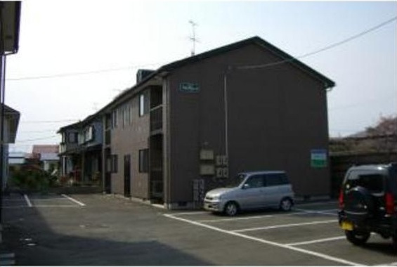 ステラB