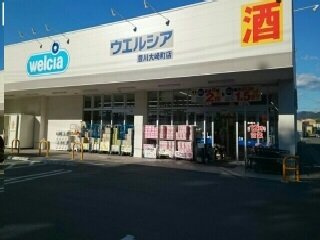 エクセレント・ハイツ　大崎の周辺|ウエルシア豊川大崎町店様まで600m