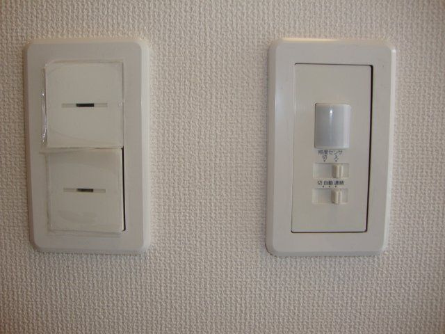 Felicia amelloidesのその他