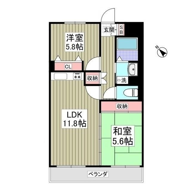 ピュアコート柏