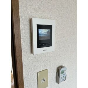 アムールラフレシアのセキュリティ