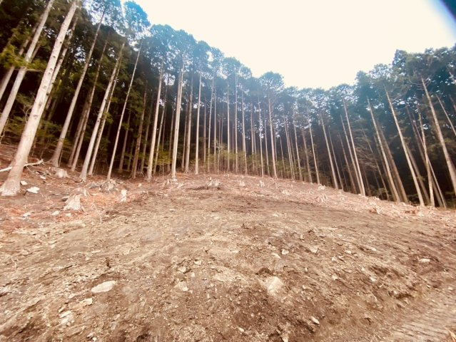 東河原町借地の外観