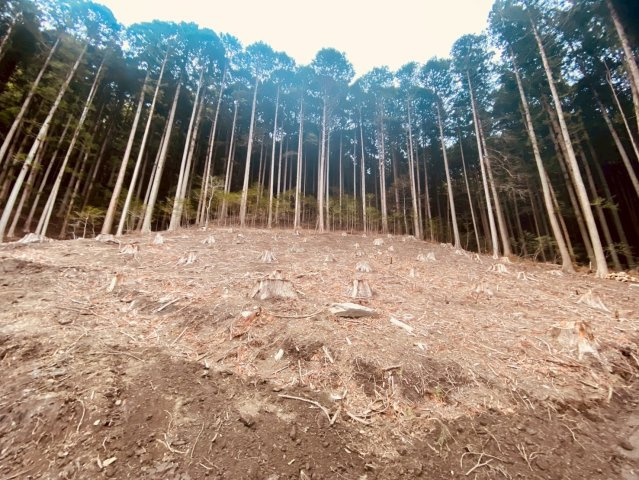 東河原町借地の外観