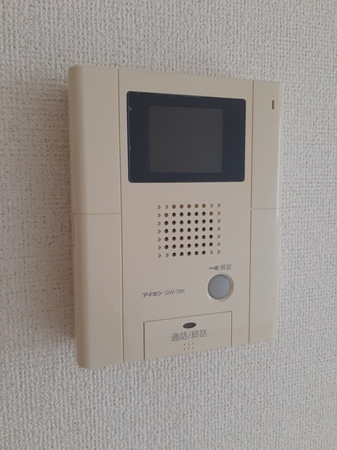 キーウィのセキュリティ