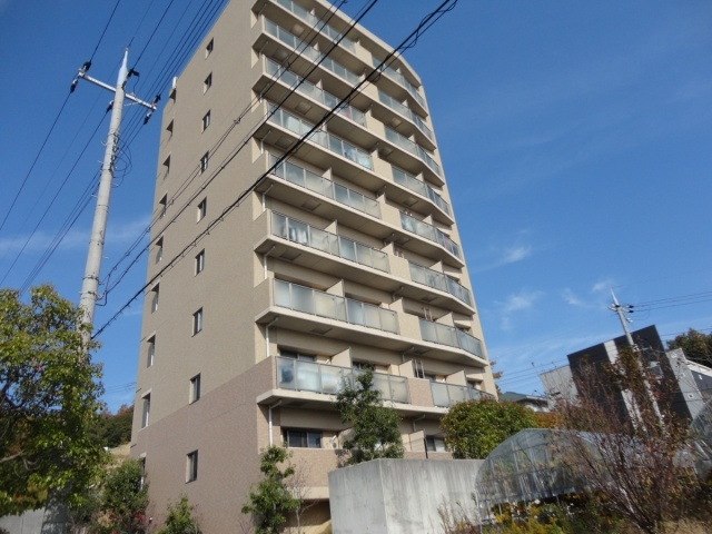 St.HILLS（セントヒルズ）