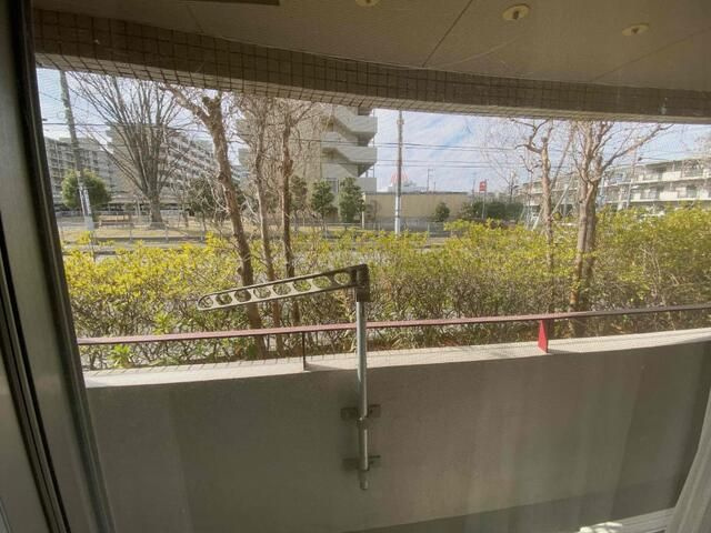 ニューオークの展望