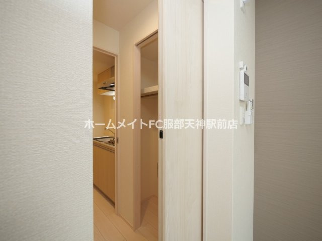 フェリスカーサ・ミオトーヤの収納