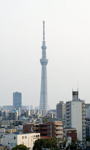 隅田グリーンマンション　9階　角　部屋　リ　フォーム済の展望