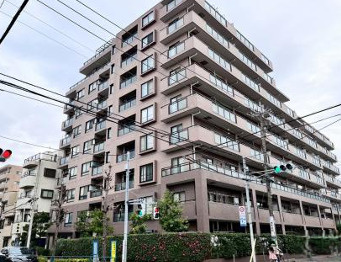 エヴァーグリーン綾瀬