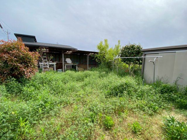 十倉　中古戸建の庭