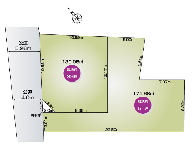 幸手市南2丁目（全2区画）全体配置図