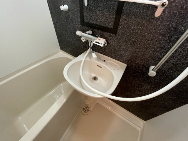 シャルムメゾン本庄の洗面所