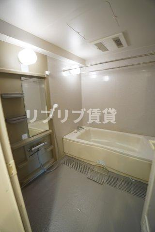 ダイアパレスヒルトップ・エフ千葉寺駅前の浴室