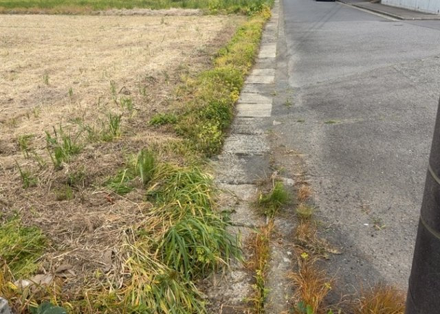 【外観】 | 土地購入を検討されている場合、境界杭がない状態で購入してしまうと境界確定測量をする必要があり、費用がかかります。購入の前に、売主、隣土地所有者立ち合いのもと境界を確定し境界杭を設置するのがベストです。