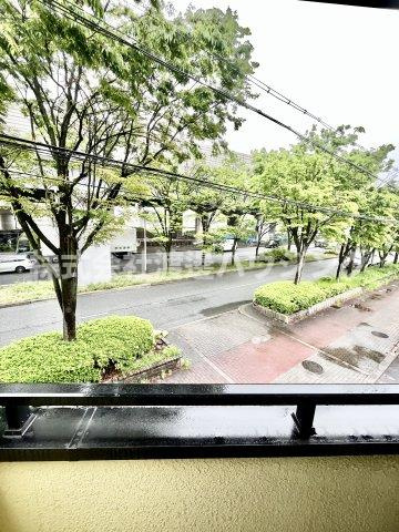 フェアリーアオイの展望