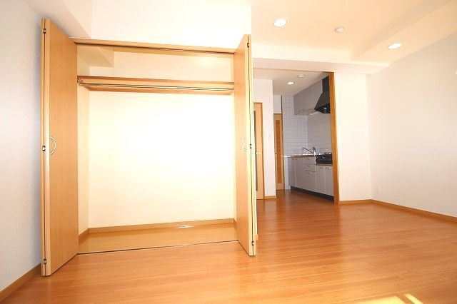 高知市はりまや町１丁目の賃貸マンションの収納|小物を収納するのに便利です