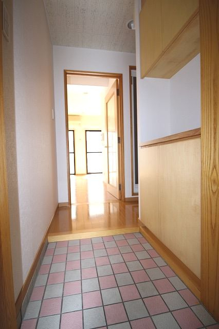 高知市はりまや町１丁目の賃貸マンションの玄関|きれいな玄関です