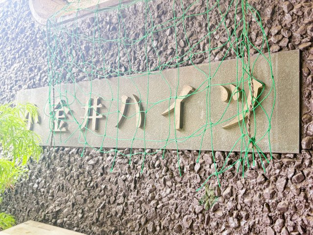 小金井ハイツの現況写真