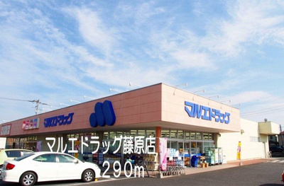 【周辺】 | ウィステリア・Ｋ | マルエドラッグ藤原店まで290m