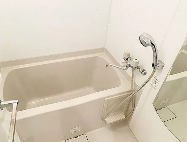 江東区塩浜２丁目の賃貸マンションの浴室