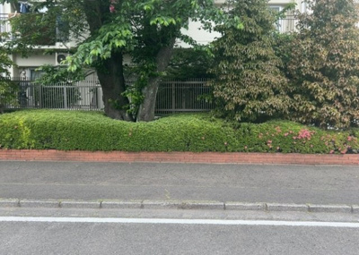【庭】 | ライフコア東林間アネックス | 物件によっては、入居者が個人的に使用できる専用庭がついているものもあります。また、住宅の中にある土間の部分を庭と呼ぶこともあります。庭の用途は住む人によって変わり、それによってデザインもさまざまです。