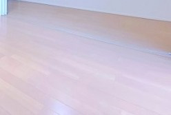 ラシーネ北新宿の内装