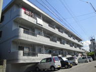 松山市中村３丁目のマンションの画像