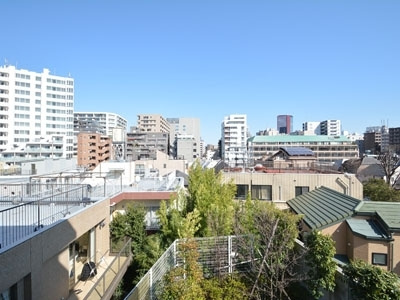 港区南麻布２丁目の賃貸マンションのその他|眺望
