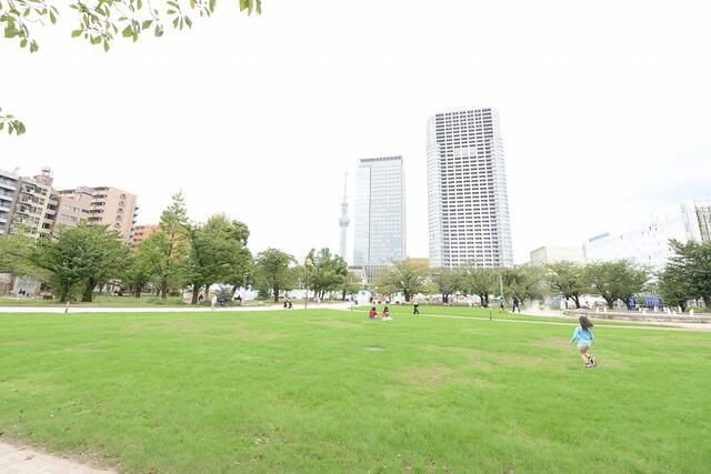 錦糸ｙｏｕパークスのその他