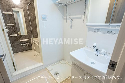 ラ・ソレイル　東小路の洗面所