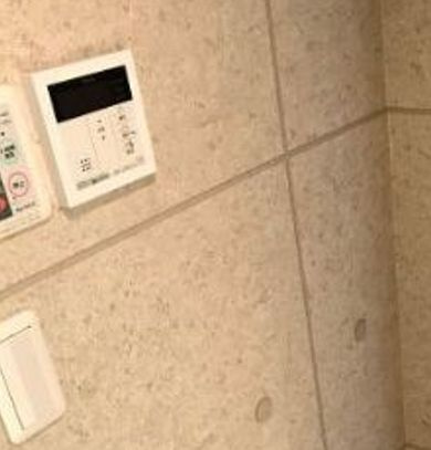 アルヴェリーノ中板橋のその他
