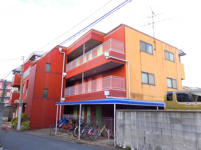 アンフィニィ・島上