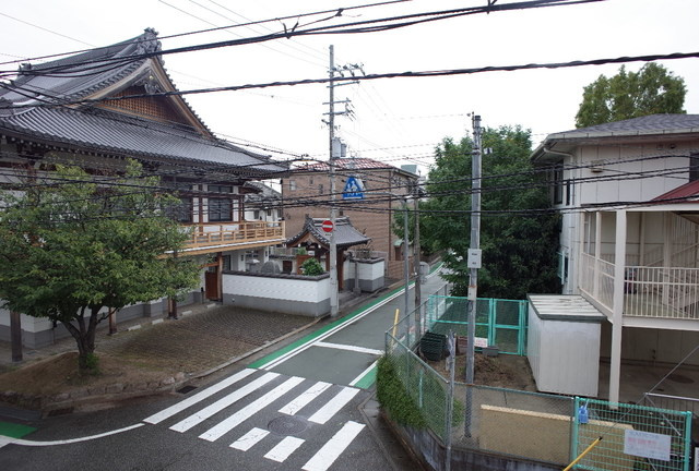 ハイカムール松井の展望
