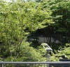 【展望】パークフロント西新宿 