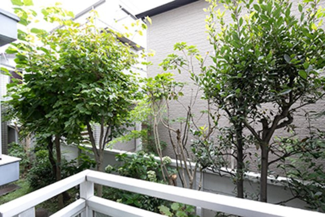 リンズハウスの展望