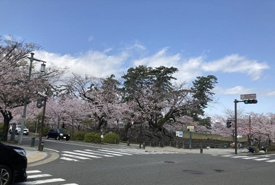 【周辺】 | フィオーレ三の丸 | 小田原城址公園まで140m