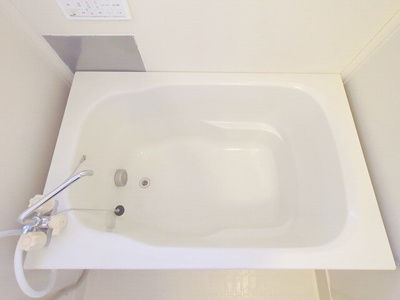 バス
