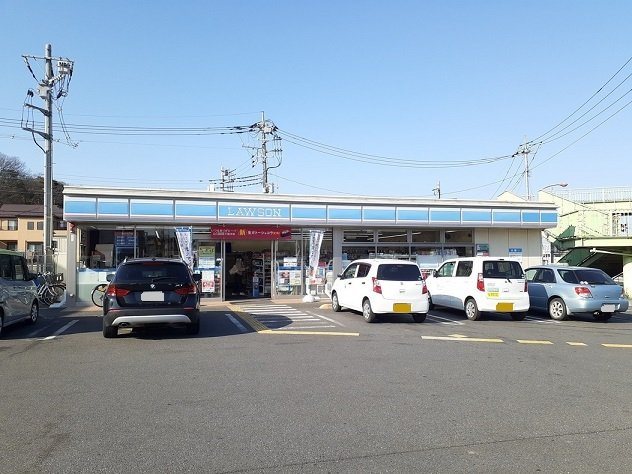 ヒカルサ大宮三橋の周辺|ローソン　さいたま三橋5丁目店まで600m