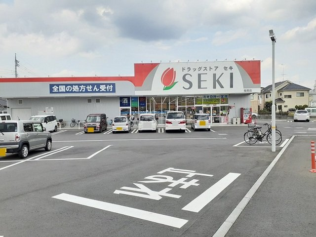 ヒカルサ大宮三橋の周辺|ドラッグストアセキ　指扇店まで550m