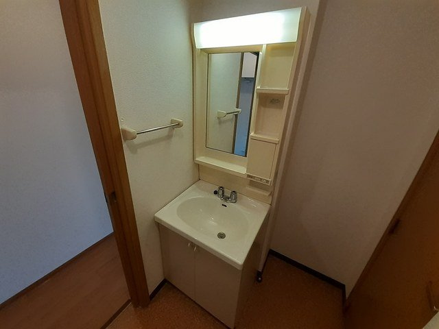 プレジール壱番館の洗面所