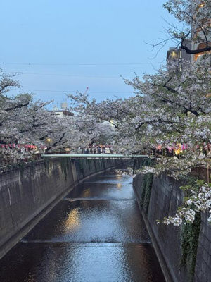 【展望】 | ＣＨＯＹビル | 中目黒　桜見まで30m