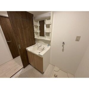 大脇マンションの洗面所