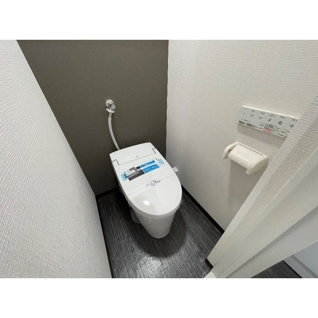 ロワール坂戸のトイレ