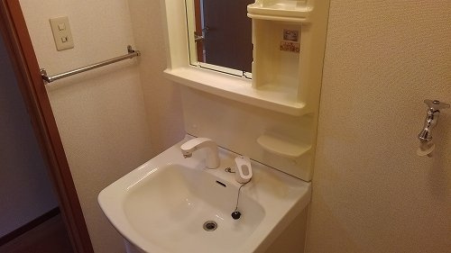 ハックベリーＳ　Ａの洗面所