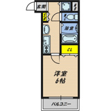コータコートの画像